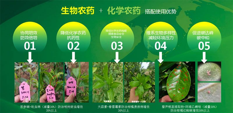 新朝陽在第六屆中國農(nóng)藥行業(yè)市場和銷售高峰論壇做“生物農(nóng)藥+化學(xué)農(nóng)藥，引領(lǐng)植保市場未來”主題報告