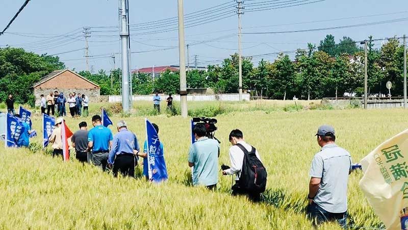 520健康植保日——擁抱綠色農(nóng)業(yè)，我們?cè)谛袆?dòng)