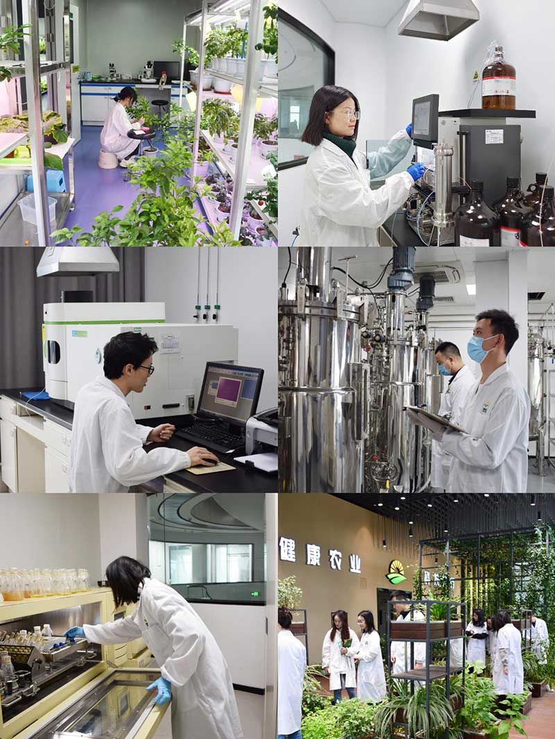 “全國科技工作者日”：推動(dòng)農(nóng)業(yè)綠色高質(zhì)量發(fā)展，新朝陽科研人在路上