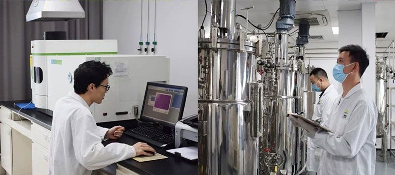 打造新朝陽生物科技“五張名片”，服務(wù)農(nóng)業(yè)高質(zhì)量發(fā)展！