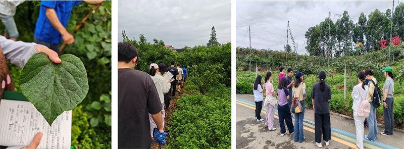 首個！中國農(nóng)業(yè)大學攜手新朝陽啟動“朝陽稼穡計劃”