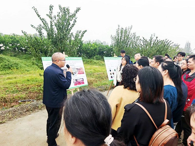 新朝陽(yáng)生物技術(shù)助力綠色防控，推動(dòng)柑橘產(chǎn)業(yè)綠色高質(zhì)量發(fā)展