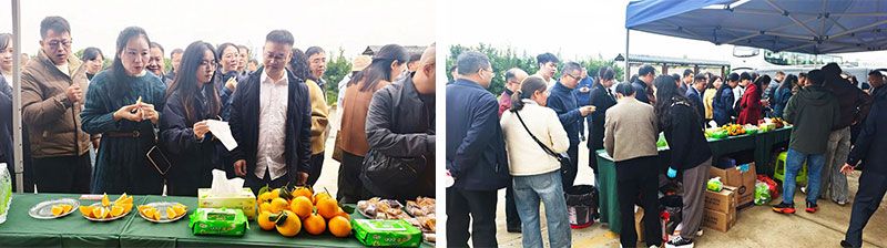 新朝陽(yáng)生物技術(shù)助力綠色防控，推動(dòng)柑橘產(chǎn)業(yè)綠色高質(zhì)量發(fā)展