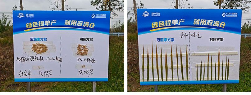 成都新朝陽COR冠菌素入選“2025中國(guó)農(nóng)業(yè)重大新產(chǎn)品”